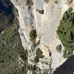 IMG_2620